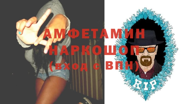 гашик Алексин