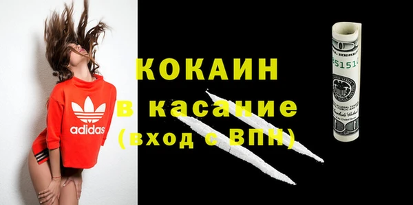 гашик Алексин