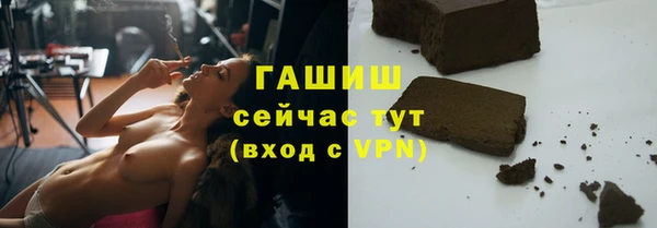 гашик Алексин