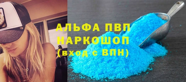 гашик Алексин