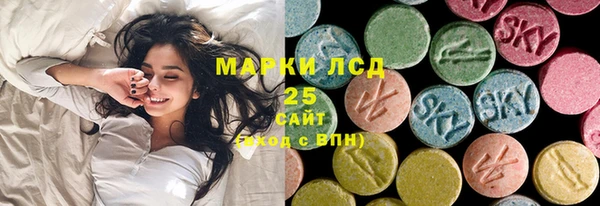 гашик Алексин