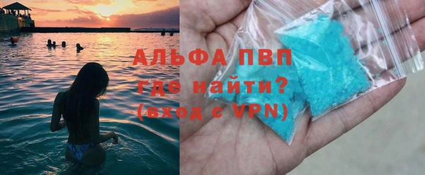 гашик Алексин